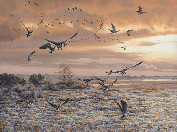 Original oil painting of  greylag geese taking flight.